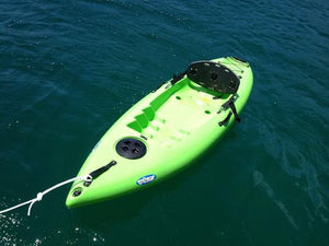 Neptune kayak out at Store Beach on Sydney Harbour