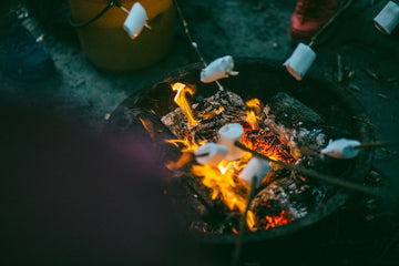 Best Camping Near Brisbane