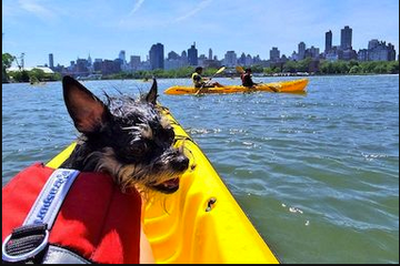 Why is kayaking so popular in Australia?.