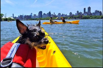 Kayaking with pets