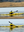 Quest 520 ABS Superlite - 5.2m Single Sit-In Touring Kayak