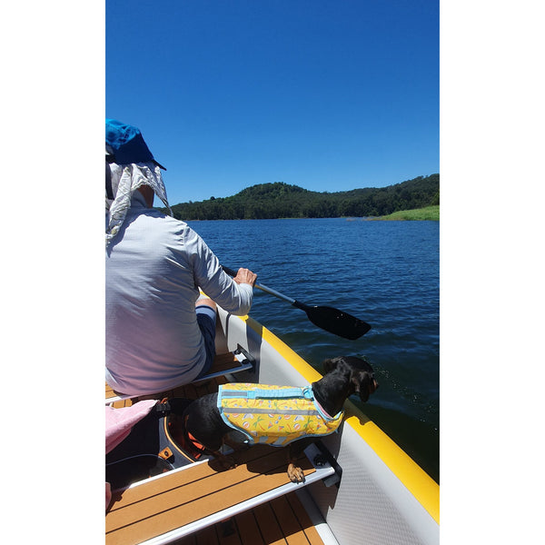 Air_Canoe_on_water_with_dog_and_man_paddling