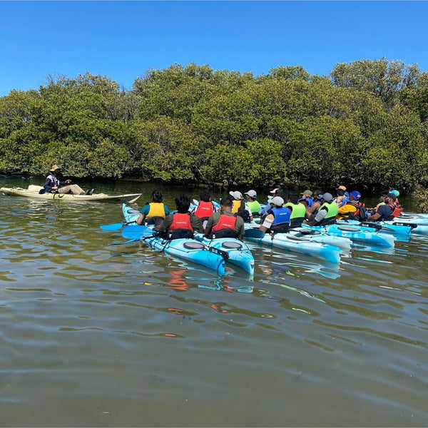 Hug_Mangrove_Paddling