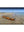 Hug_XL_Beached