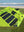 PedalProModular2.9mAppleGreen_Blue_BlackCamo_closeup3