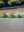 PedalProModular4.2mAppleGreen_Blue_BlackCamo21