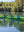 PedalProModular4.2mAppleGreen_Blue_BlackCamo23