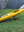 Sit on Top Heavy Duty Kayak Trolley with Yellow Sit In Kayak 