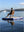 Air Pontoon (2x2m).