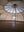 Luxury Canvas Lotus 5m Transparent Roof Tent