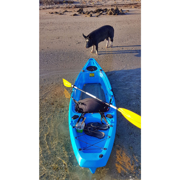 ClearView 2 Clear Bottom Kayak Blue on Beach with Pig (rear view)