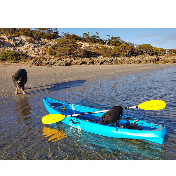 ClearView 2 Clear Bottom Kayak Blue on Beach with Pig (side view)