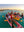 ClearView 2 - Clear-Bottom Single Kayak