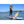 dog on bay sports 10'6 explore paddle board