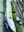 Air Glide 473 4.73m Double Tandem Drop Stitch Inflatable Kayak - unfolded stage 2