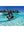 ClearView 2 - Clear-Bottom Single Kayak