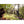 Camelbak Womans Lobo 9 2L Hydration Pack