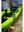 Pedal Pro Fish - 3.9m Pedal-Powered Fishing Kayak w/ MaxDrive 360