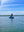 Pedal Pro Fish - 2.5m Flap-Powered Fishing Kayak