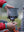 Jstash 800ml Hike Stove - Jetboil Boiling 